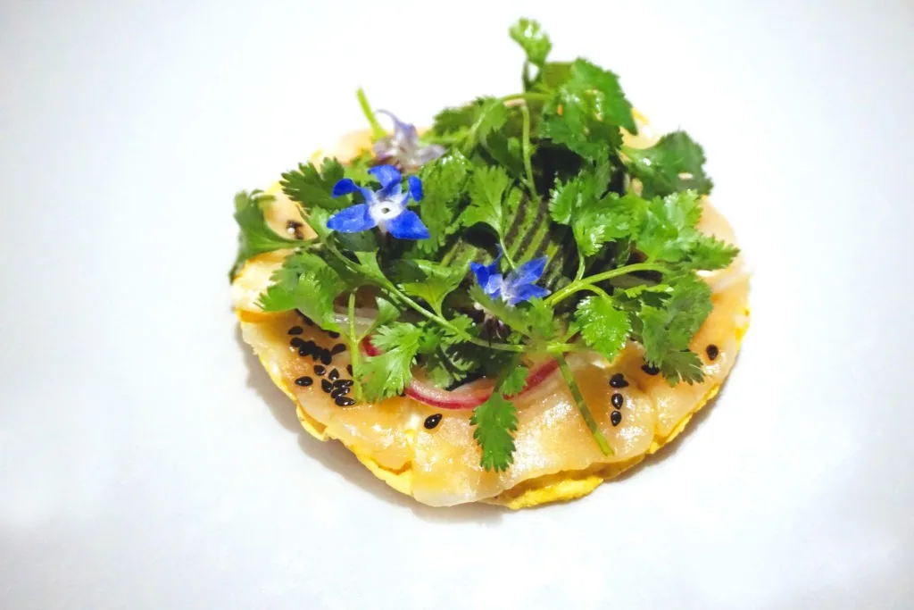 Scallop tostada topped with avocado and cilantro